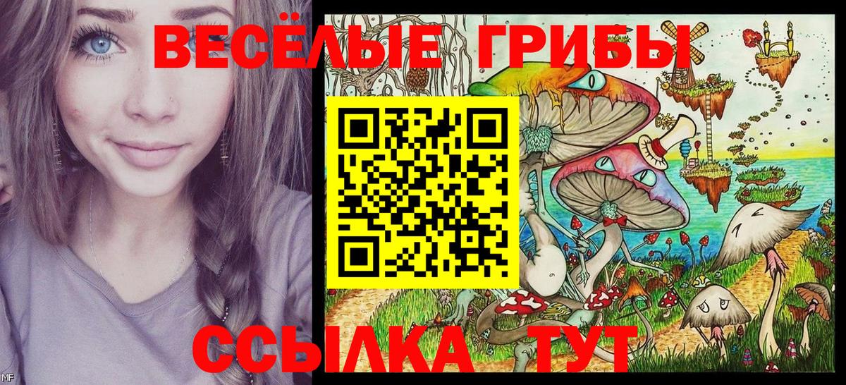 Псилоцибиновые грибы прущие грибы Жигулёвск